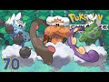 Pokémon Schwarz ABER für Anfänger [70] - Jagd nach Boreos, Voltolos & Demeteros