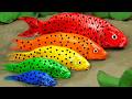 Mancing bebek, ikan koi, katak, belut besar di lubang lumpur - Stop Motion ASMR Memasak Primitif