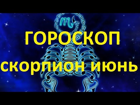 Скорпион на машине