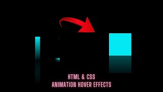 Hover Animation Effects html & css tutorials #shorts
