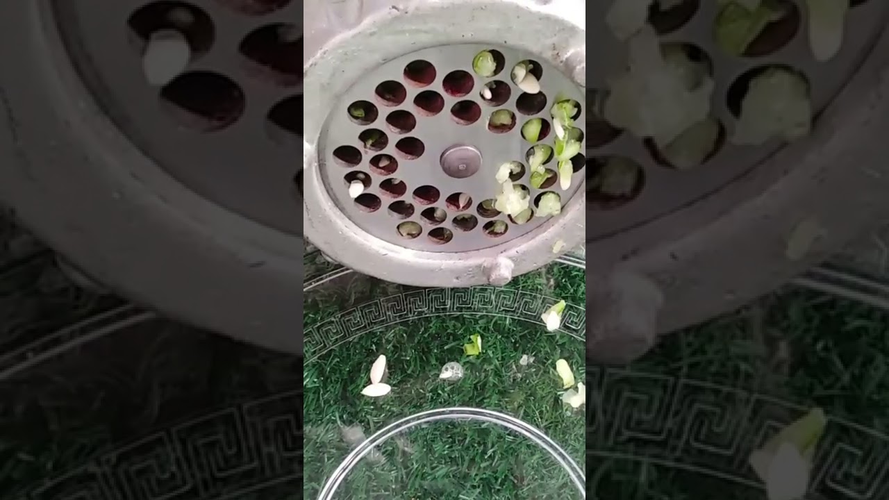 Experiment Cucumber vs Meat Grinder Satisfying ASMR shortsmeat