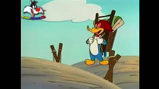 Download Lagu woody woodpecker laugh MP3