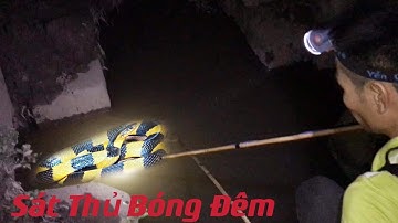 Sinh Tồn Kích Cá Đêm Bắt Gặp Sát Thủ Bóng Đêm Cùng Tem Thú Vui 3 Miền Survival Hunting
