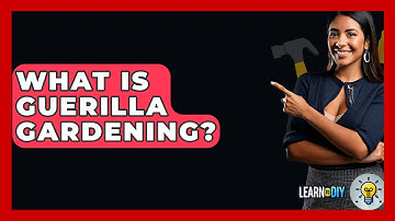 What Is Guerilla Gardening? - LearnToDIY360.com