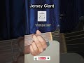 Jersey Giant by Tyler Childers Guitar Tutorial // Jersey Giant Guitar Lesson for Beginners #shorts