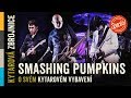 Kytarov zbrojnice 12  smashing pumpkins