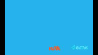 Plickdems Screen Bug 2009 Present