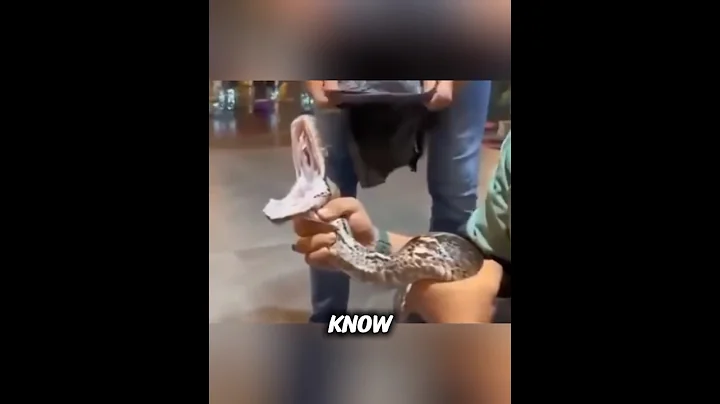 Why Do Some Snakes Eat Themselves. #facts #shorts