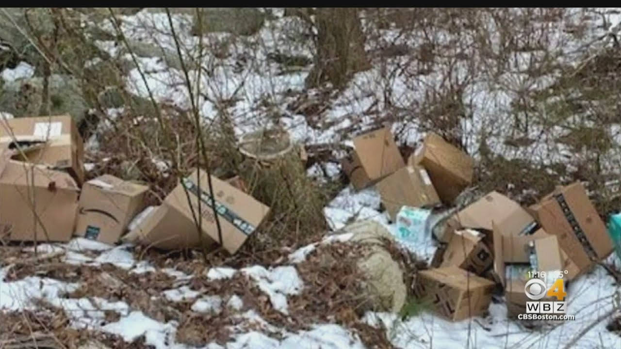 Undelivered, Damaged Amazon Boxes Discovered In Plympton Woods YouTube