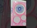 Spirograph Art #trendingshorts #spirograph