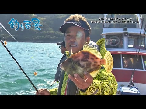 【釣り百景】#313 東京湾の沖釣り名手3人が相模湾真鶴沖のカワハギに初チャレンジ
