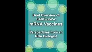 How Mrna Vaccines Work Covid-19 Pfizer And Moderna