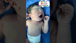 Pov When You Discover The Mute On For Crying Babies