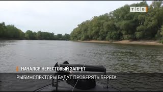 Начался нерестовый запрет