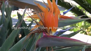 Everything flows - Panta Rhei - Great Quotes - Yoga Music & Chill-out