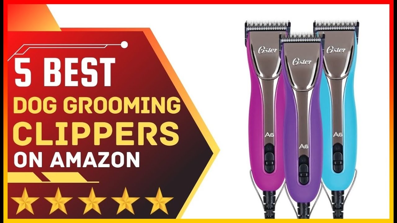 ✓ Best Dog Grooming Clippers on Amazon ➡️ Top 5 Tested & Buying Guide -  YouTube