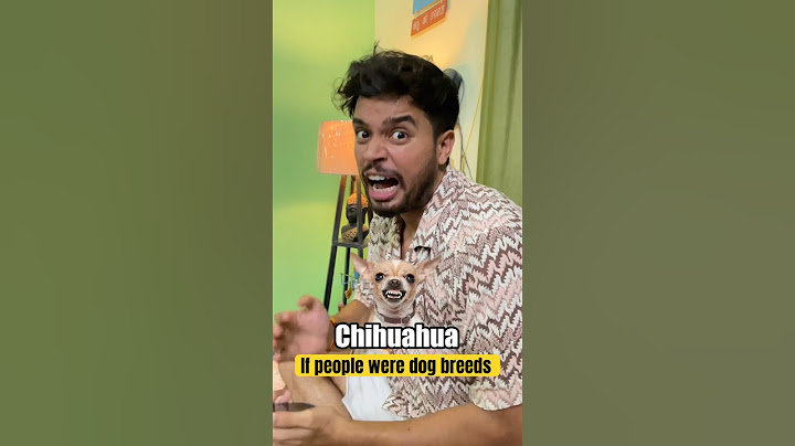 If people were dog breeds🤣🤣 #trending #shorts