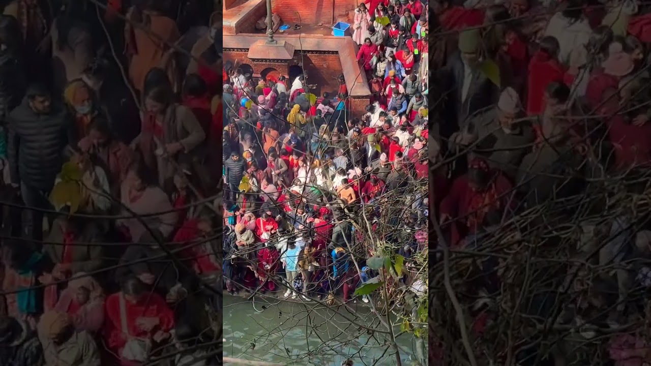 Salinadi mela 2080 | sali nadi new video 2024