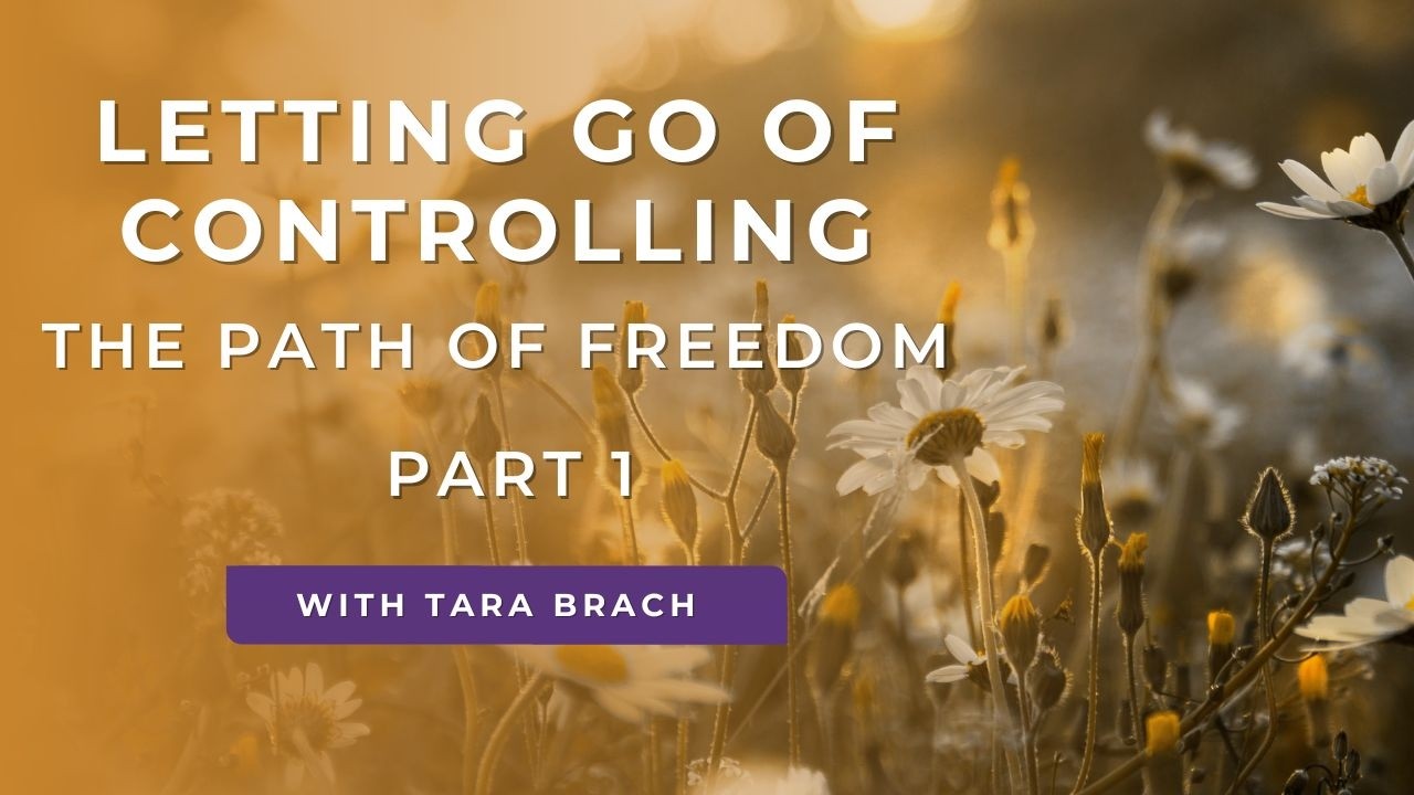 Letting Go Of Controlling, The Path Of Freedom - Part 1 | Tara Brach