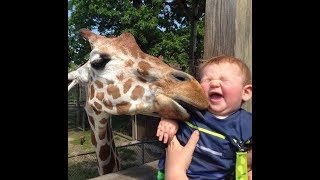 СМЕШНЫЕ ВИДЕО, ПРИКОЛЫ, ВИДЕО ПРИКОЛЫ, НОВЫЕ ПРИКОЛЫ 2018, ПРИКОЛЫ ДО СЛЕЗ, СМЕШНЫЕ ПРИКОЛЫ, ЛУЧШИЕ