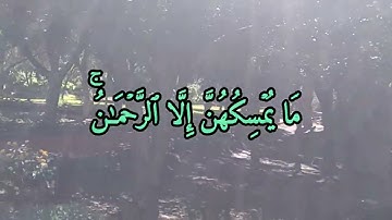 القرآن الكريم ، سورة الملك، القارئ محمد الجابري الحياني.