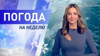 Погода на неделю 25 – 31 января 2021. Прогноз погоды. Беларусь | Метеогид