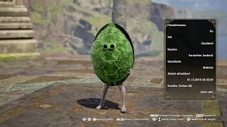 Soul Calibur 6 Custom Character Showcase Nr.16 (PS4)