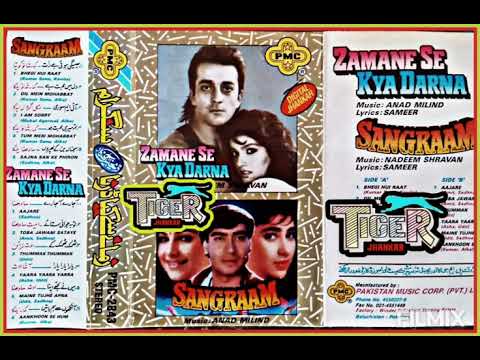 Main Ne Tujhe Apna Bnaya Hai.(((PMC Digital Jhankar))).Udit \u0026 Sadhna