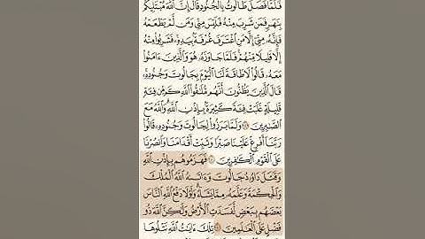حفظ و تكرار سورة البقرة صفحة 41 - 10 مرات - الشيخ ماهر المعيقلي