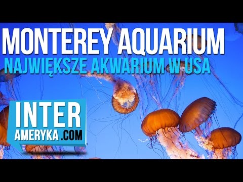 Wideo: Monterey, Kalifornia - Przewodnik po weekendowych wypadach