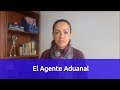 EPISODIO 069: el Agente Aduanal y la Agencia Aduanal