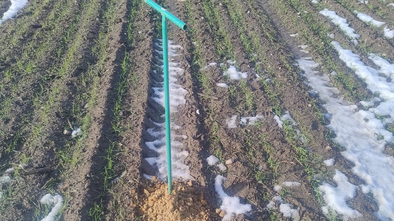 Czy już mam suszę??