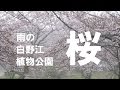 白野江植物公園 の動画、YouTube動画。