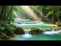 Calming Forest River LIVE 🌴 Tropical Nature Ambience for Better Sleep and Relaxation