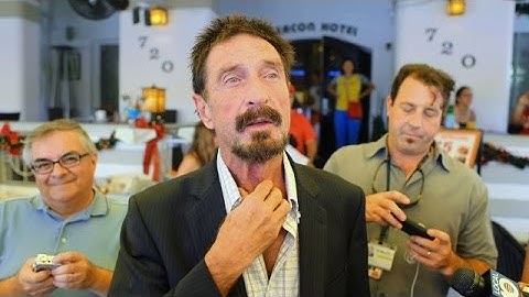 John McAfee Offers To Break An iPhone