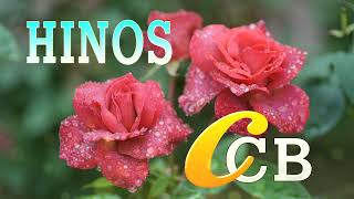 LINDOS HINOS CCB CANTADOS🌷193, 01, 118, 129, 185, 191, 220, 256, 323