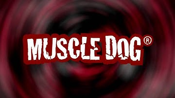 MuscleDog.com Presents: Tricep Cable Kick Backs