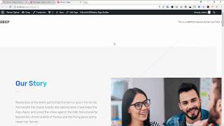 Deep Theme - Page Options