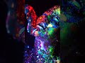 Phorester - Sparkling Lights #discohouse #aigenerated