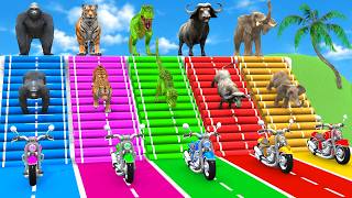 Long Slide Game with Dinosaur Lion Cow Hippopotamus Gorilla 3d Animal Game Funny 3d Animals