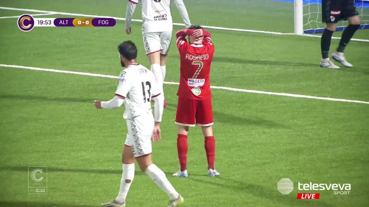 #TELESVEVANOTIZIE Edizione della sera