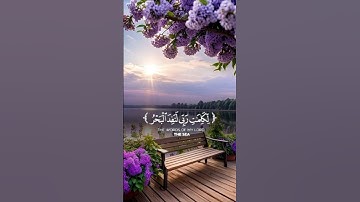 #اكسبلور #تلاوات #تلاوة_خاشعة #قرآن #لايك #متابعه #تيك_توك