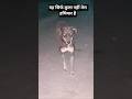 यह सिर्फ कुत्ता नहीं मेरा हथियार है #straydogs #animalcare #trending #viral #dogrescue