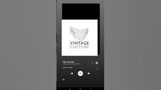 For A  Feeling - CamelPhat (Remix Vintage Culture) 2025