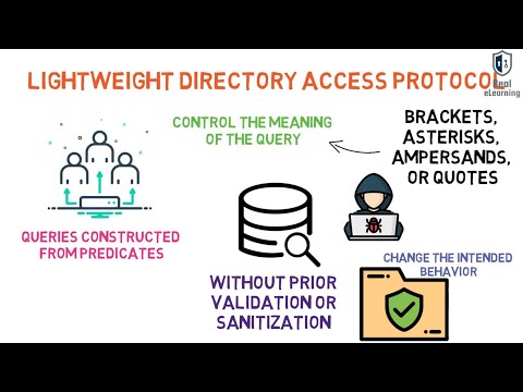 What are LDAP, XML, Pointer, and directory traversal attacks.