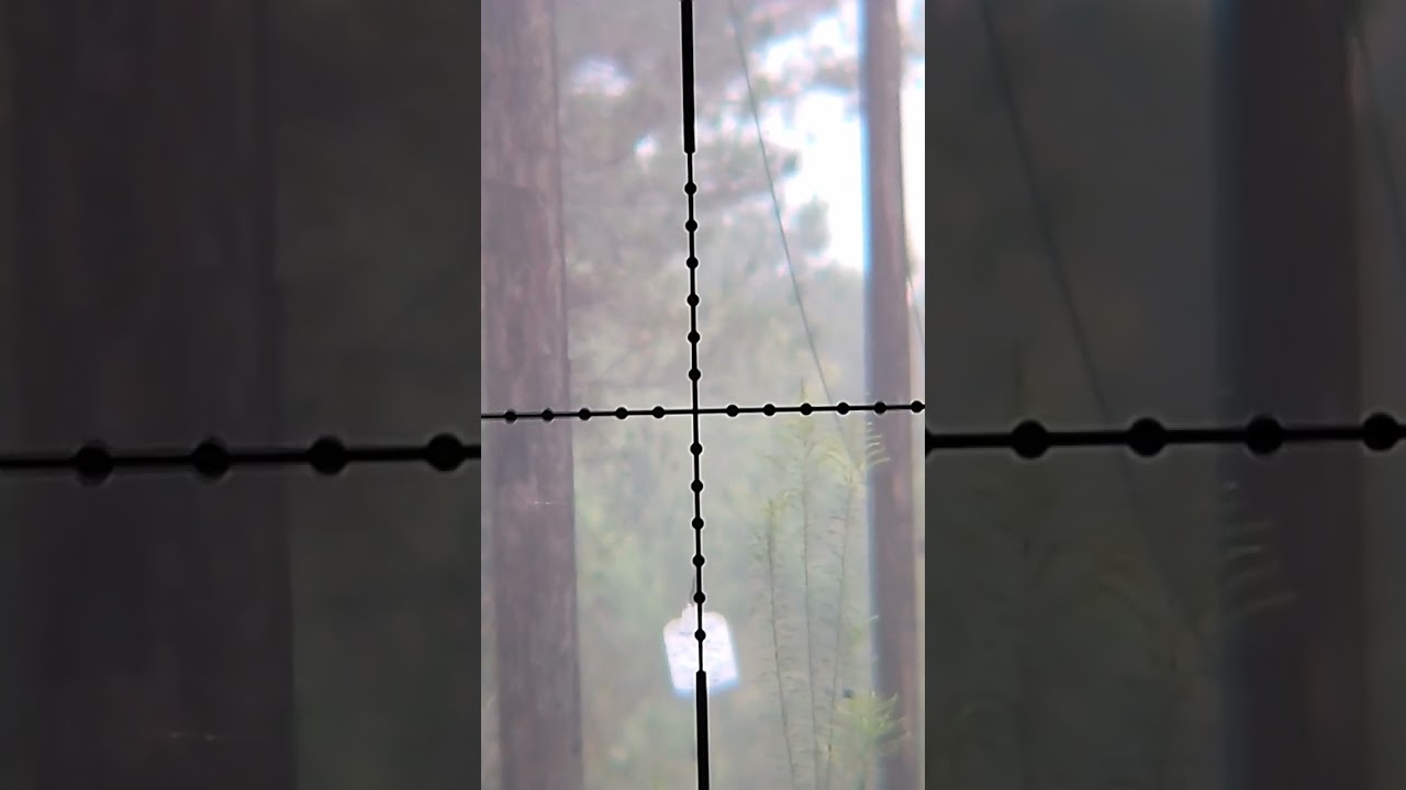 Shooting a metal plate 