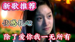 一首李英新歌上线《除了爱你我一无所有》伤感情歌，扎心催泪【利姐热门音乐】