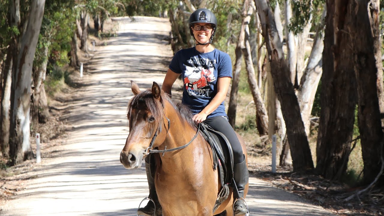 Brumby Mr Brown: First ride on a brumby - YouTube