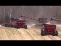 Corn Harvest at Ridge View  12-2-19