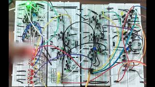 Celebrity 4-Bit Adder from Scratch using only Transistors (No ICs!) Net Worth